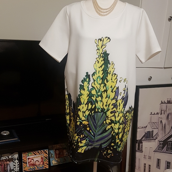 Beautiful Lolita & L Fern Dress - Picture 7 of 8